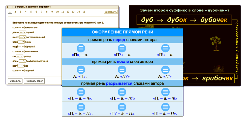 Организация учебного процесса на уроках русского языка в соответствии с требованиями ФГОС с использованием цифровых образовательных ресурсов